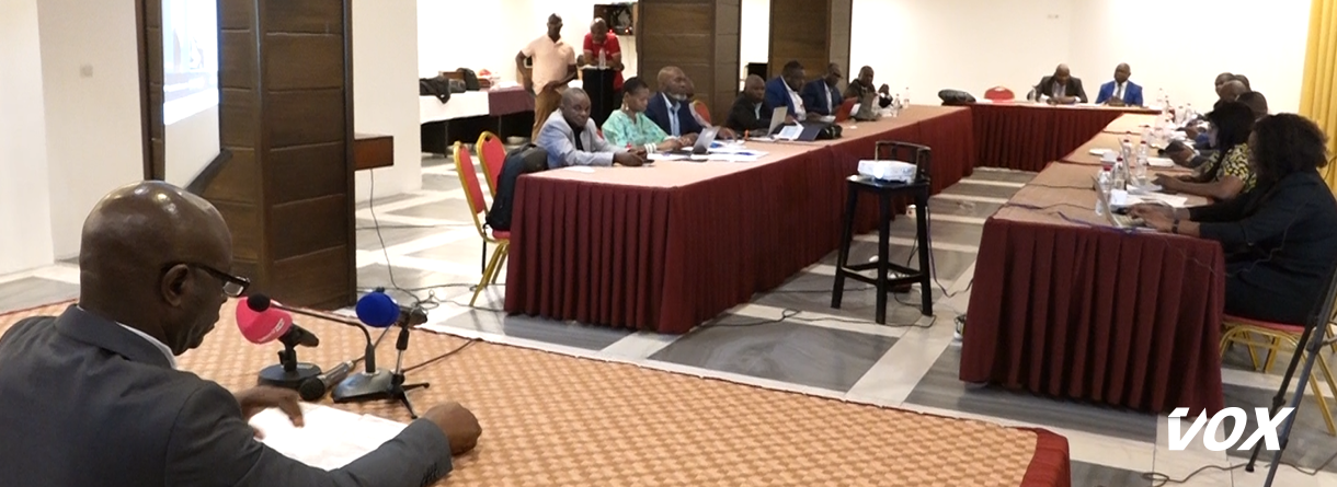 vers-l’elaboration-d’un-avant-projet-de-loi-de-droit-d’auteur-et-droit-voisin-–-vox-congo