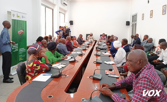 l’ambassadeur-du-tchad-echange-son-experience-avec-le-cese-du-congo-–-vox-congo
