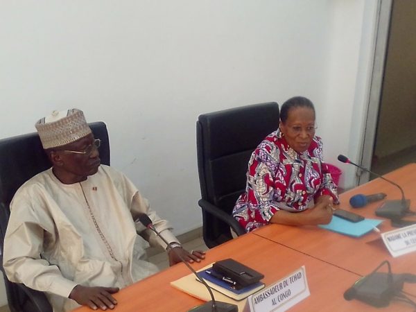 rencontre-entre-l’ambassadeur-du-tchad-et-la-presidente-du-cese-du-congo-–-journal-de-brazza