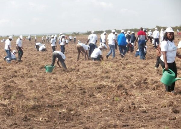 congo-:-vers-la-creation-de-plus-de-20-000-emplois-forestiers-decents-d’ici-2030-–-journal-de-brazza
