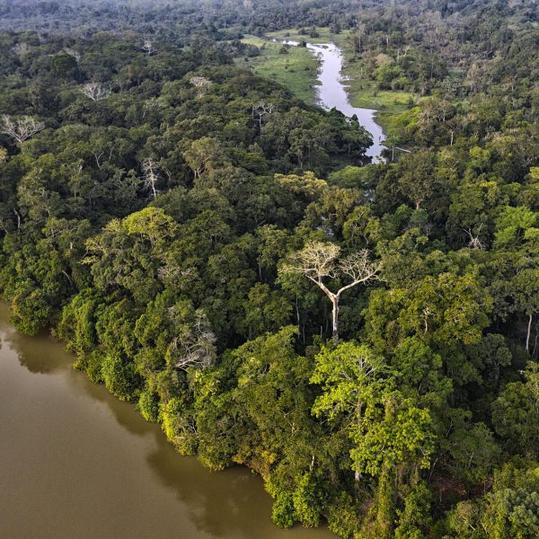 congo-:-un-appel-pour-une-regulation-des-activites-forestieres-et-minieres-–-journal-de-brazza