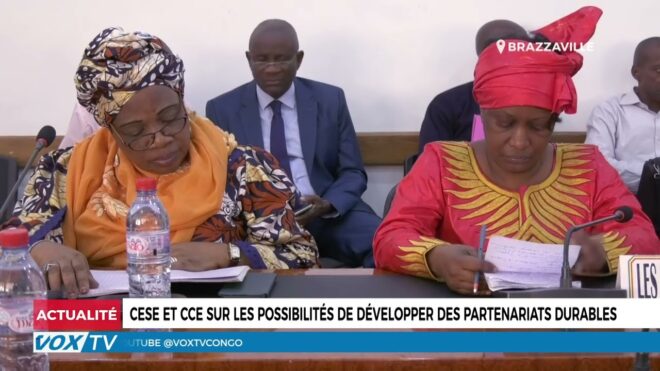 cese-et-cce-sur-les-possibilites-de-developper-des-partenariats-durables-–-vox-congo