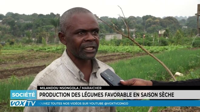 production-des-legumes-favorable-en-saison-seche-–-vox-congo
