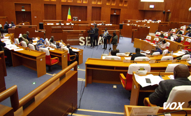 le-senat-autorise-la-creation-de-l’organisation-internationale-pour-la-mediation-–-vox-congo