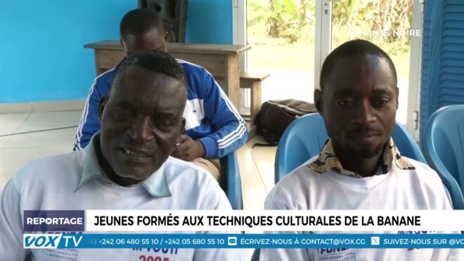 formation-pratique-sur-la-culture-de-la-banane.-–-vox-congo