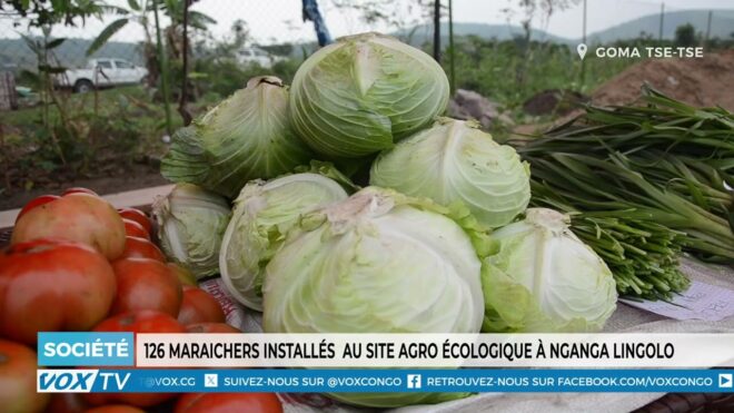 126-maraichers-installes-au-site-agro-ecologique-a-nganga-lingolo-–-vox-congo