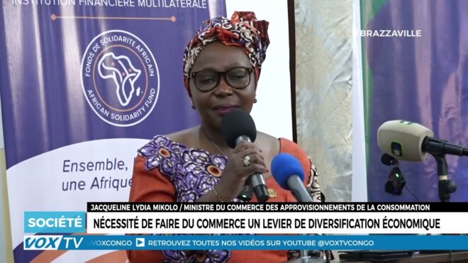 necessite-de-faire-du-commerce-un-levier-de-diversification-economique-–-vox-congo