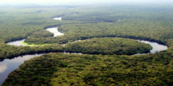tourbieres-du-bassin-du-congo-:-cap-sur-le-suivi-operationnel-–-journal-de-brazza