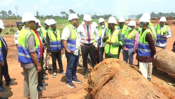 congo-:-l’electricite-freine-les-ambitions-industrielles-de-la-societe-ifo-–-journal-de-brazza