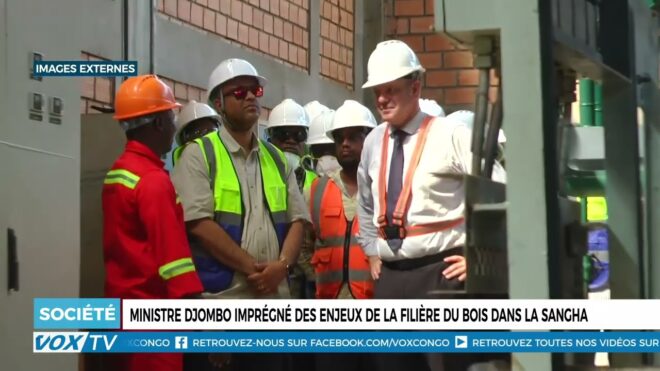 ministre-djombo-impregne-des-enjeux-de-la-filiere-du-bois-dans-la-sangha-–-vox-congo