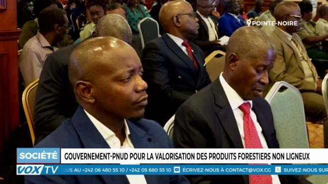 gouvernement-pnud-pour-la-valorisation-des-produits-forestiers-non-ligneux-–-vox-congo