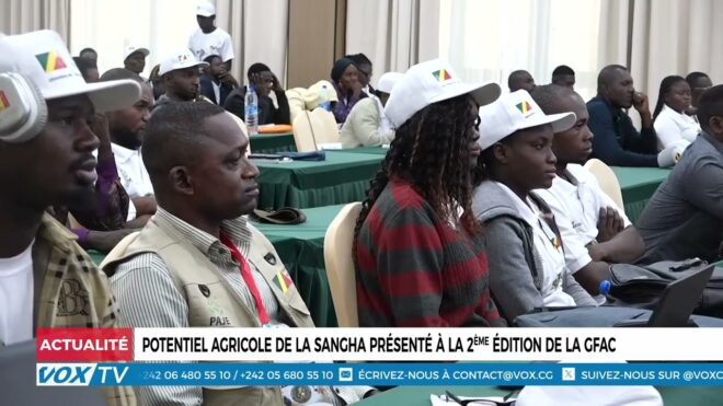 potentiel-agricole-de-la-sangha-presente-a-la-2e-edition-de-la-gfac-–-vox-congo