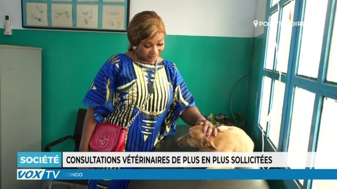 consultations-veterinaires-de-plus-en-plus-sollicitees-–-vox-congo