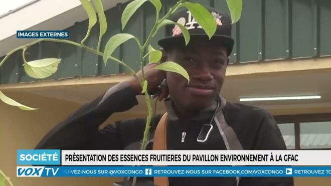 presentation-des-essences-fruitiers-du-pavillon-environnement-a-la-gfac-–-vox-congo