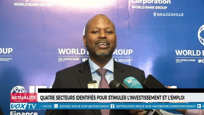quatre-secteurs-identifies-pour-stimuler-l’investissement-et-l’emploi-–-vox-congo